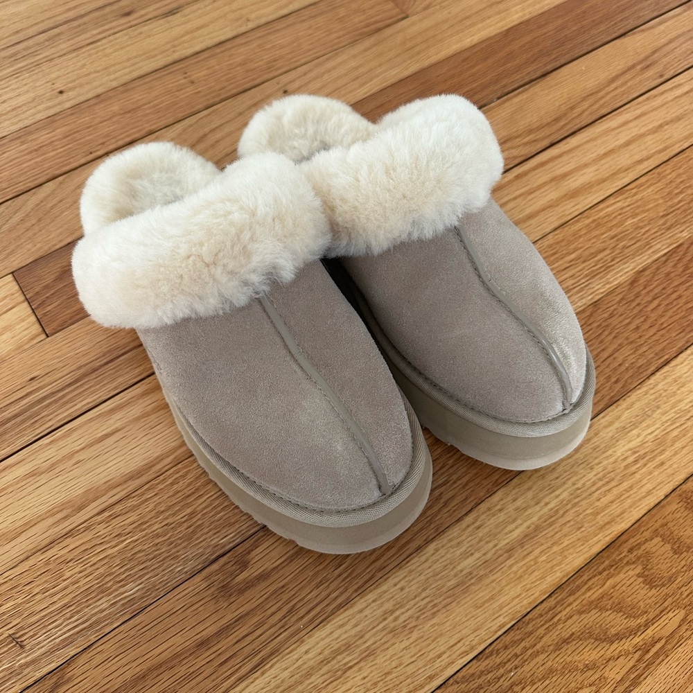 Ugg Tazman